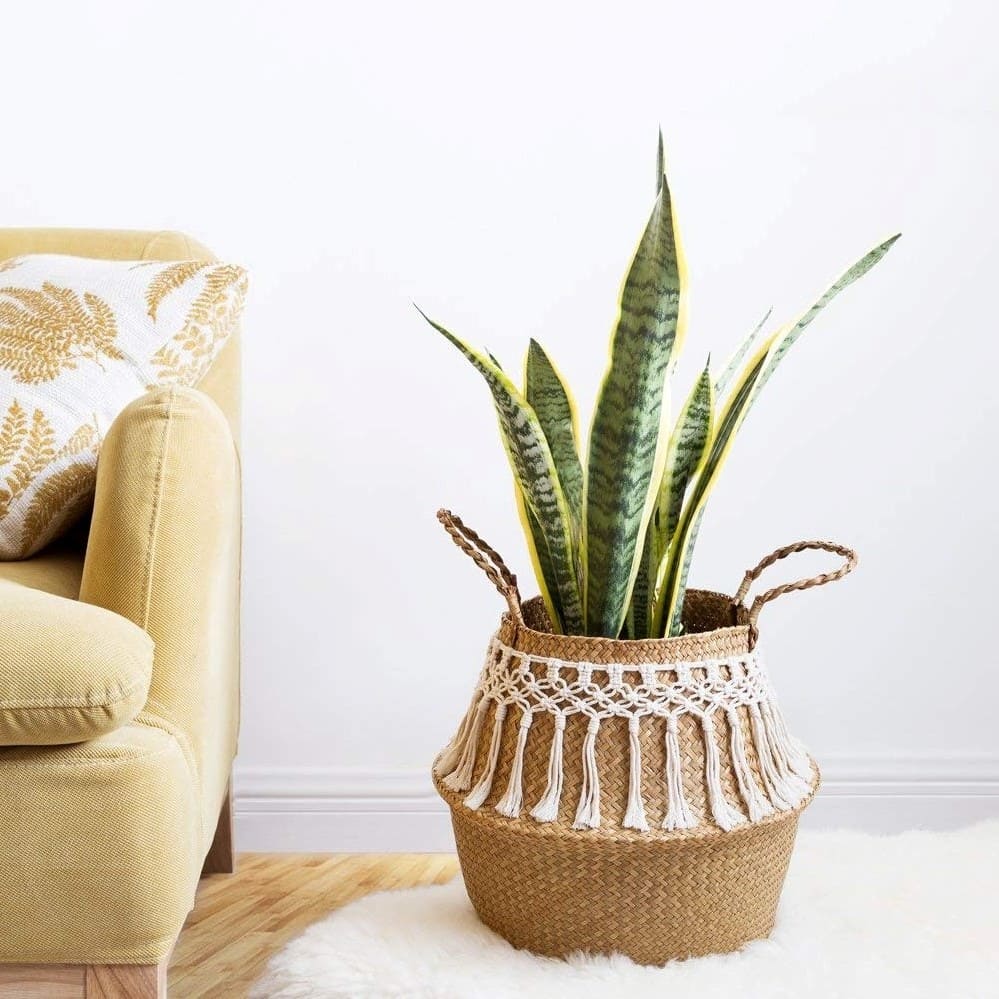 Panier Macramé Rangement Pratique