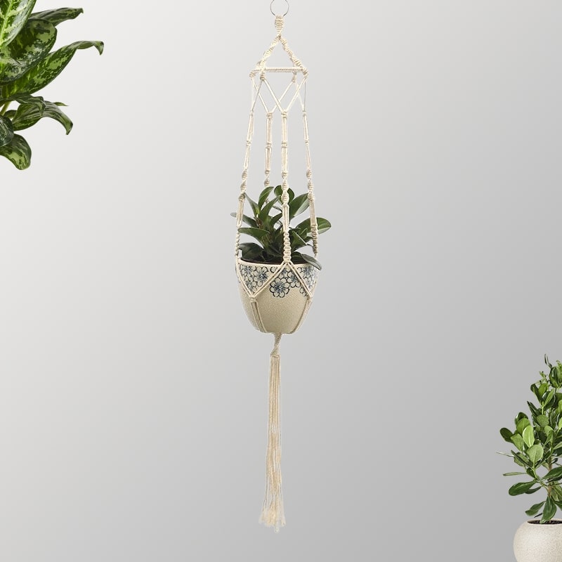 Suspension Plante Bohème Macramé Coton Naturel